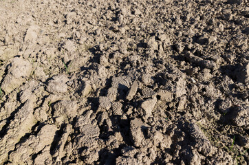 soil in an agricultural field that is being prepared to receive a new crop of plants