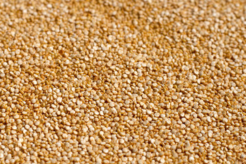 Organic Quinoa background, Close up