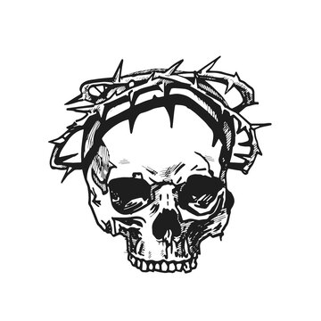 Skull in a crown of thorns, graphic portrait. Hand drawing. Vector