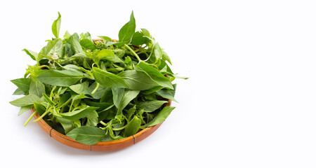 Hairy Basil in bamboo basket on white background.