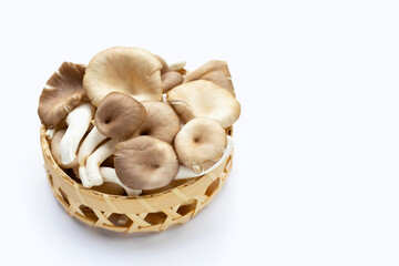 Fresh oyster mushroom in bamboo basket on white background.