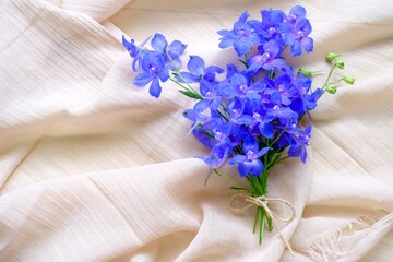 デルフィニウム