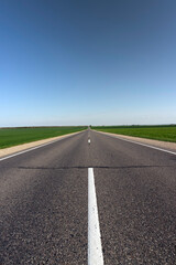 an asphalt road along which green plants