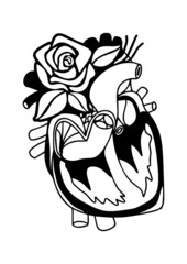 illustration of an heart with rose