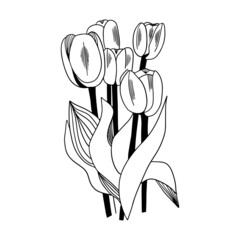 tulip in black and white for printing, postcards, textiles, office, children's education