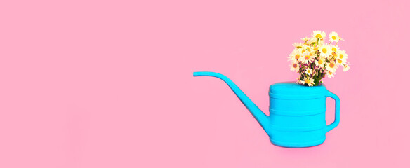 Blue watering can with flowers on pink background, gardening concept, blank copy space for...