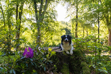 Damon im Park