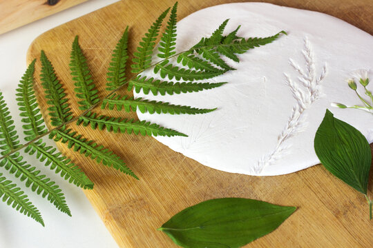Ceramic class Dried leaves on the white clay close up. Creative process. Pottery workshop studio