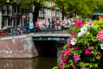 Fototapeta na wymiar A beautiful summer day on the famous canals of Amsterdam City, bicycles, flowers, bridge, Netherlands, UNESCO