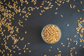 wheat grain in glass jar on dark background overhead view