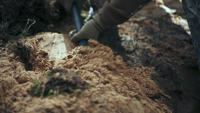 One soldier digs a trench in a pine forest. Close-up of a shovel and sand.