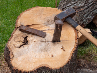 Holz Fällarbeiten mit Spaltkeil und Hammer 