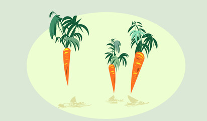 Green and orange illustration of a carrot