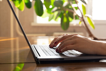 close up of female hands on a laptop keyboard. business concept