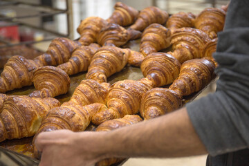 bekjer man hold a Fresh baked french croissants in a bakery, close up