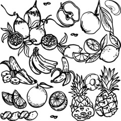 seamless pattern with fruits