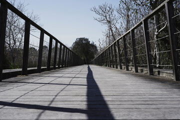 Wooden path in the Natural Park of s'Albufera. Wall, Majorca