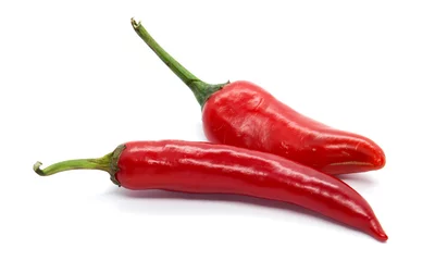 Garden poster Hot chili peppers Red spicy chili pepper in a white