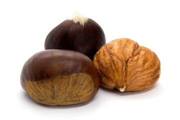 Three chestnut edible isolated on white background