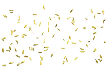 Top view of fennel seeds - texture - obrazy, fototapety, plakaty