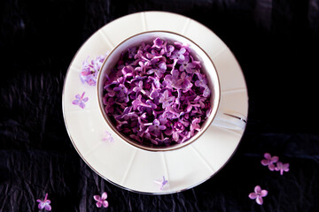Purple lilac blossoms (syringa vulgaris) in a tea cup against a black background