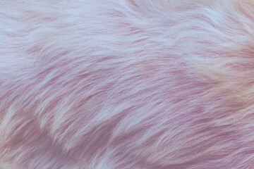 close up of a fur texture