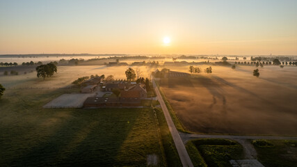 Fototapeta premium Aerial Drone Shot of a beautiful Green and Yellow Agricultural Plantations Bordering with Wild Forests in Belgium, Europe with the golden rays of sun creating a magical blanket over the green