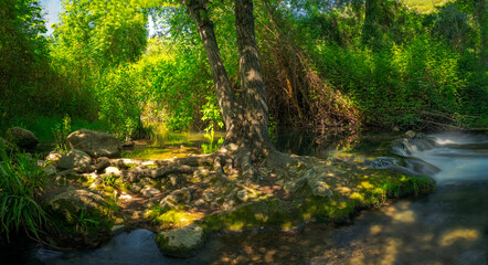 Natural environment of the Majaceite river, between the towns of El Bosque and Benamahoma, Cadiz. © mvera