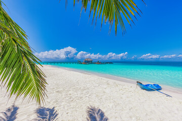 Maldives island beach with blue kayak on shore. Tropical landscape of summer, white sand with palm trees. Luxury travel vacation destination. Exotic beach landscape. Amazing nature, relax, freedom