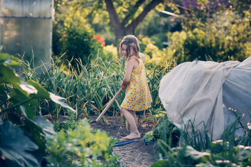 child girl in dress weeds loosens garden with garden tool in summer, helping children and taking care of plants. natural safe gardening. child cuts weeds in garden with flat cutter.
