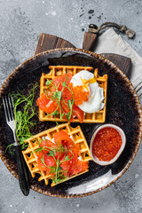 Belgian waffle with cream cheese, salmon slices, egg and red caviar. Gray background. Top view