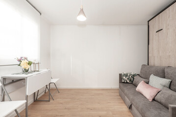 Studio apartment with a white folding dining table with a fake vase, a wardrobe with a three-seater folding sofa bed upholstered in gray fabric and wooden floors
