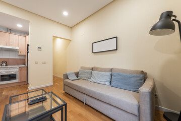 living room with a three-seater sofa bed upholstered in gray fabric, with various cushions in shades of blue and auxiliary black metal and glass coffee tables