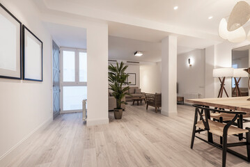 Living room with single plank dining table, accent plants and light wood flooring