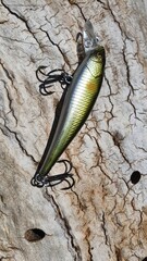 pêche