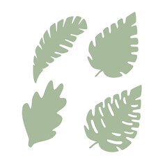 Set of palm green tropic leaves silhouettes isolated on white background. Vector. Leaves different shapes in flat style