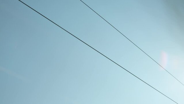 Moving catenary wire of the railway in europe with blue sky and trees moving past in the background.