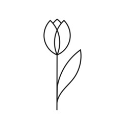 Obraz premium Tulip flower line icon symbol