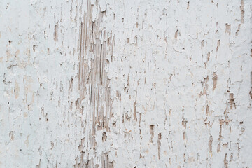 white background. peeling paint pattern on the wall