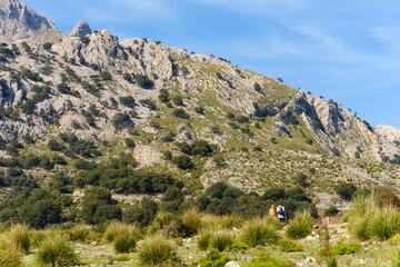 Fototapeta na wymiar Pareja haciendo senderismo en las montañas de la Serra de Tramuntana de Mallorca.