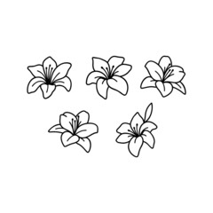 Outline lilies set