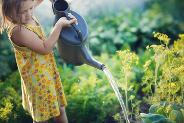 cute kid girl with big watering can waters beds in garden in summer, helping children in garden and child taking care of plants. Montessori outside and natural gardening © natalialeb