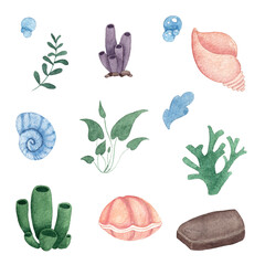 Watercolor set with corals, seaweeds, shells and stones. Design elements isolated on white background. Illustration for marine and tropical themes. © Эльнара