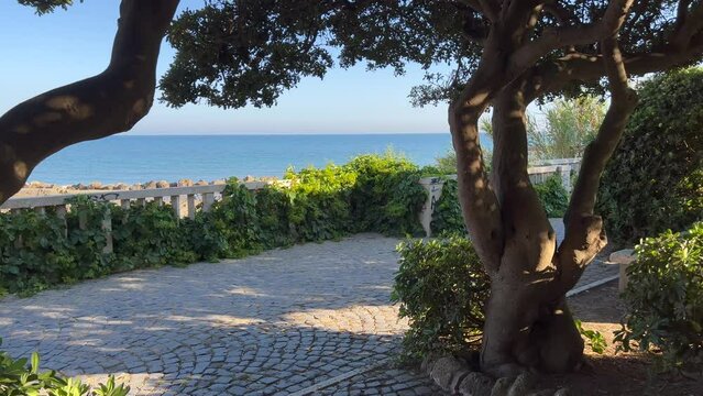 View of the sea through trees in Anzio, Italy