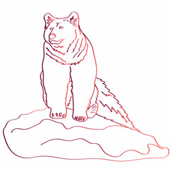 Bear on a rock