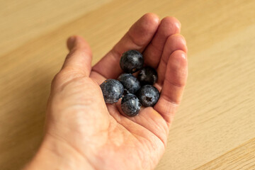 Close up shot of a hand holding blueberries. Concept