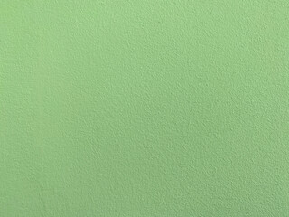 Photo of the texture of the wall made of light green giprok. Painting the wall with green paint. Light green background for the text.