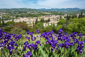 Vaison-la-Romaine, Provence