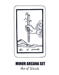 Tarot set. Vector hand drawn  Minor Arcana . Ace of Wands 