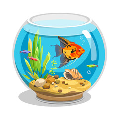 Vector aquarium. Angelfish and Danio with water, seaweed, shell, bubbles, stones. Colorful cartoon pet for your design. Illustration of underwater life